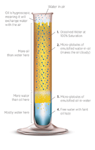 The Four States of Water in Oil